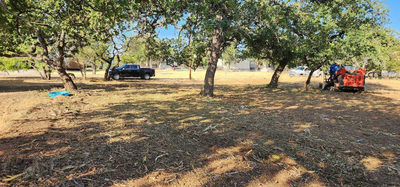 8529 Bluebonnet — photo 2