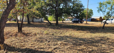 8529 Bluebonnet — photo 4