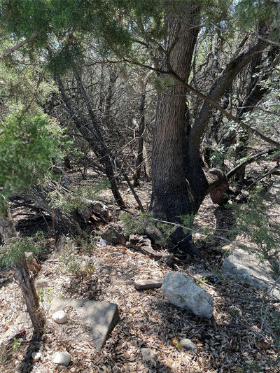 21101 Santa Paula Ave — photo 2