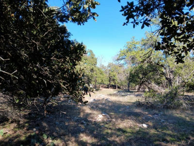 101 Timber Line Rd — photo 3