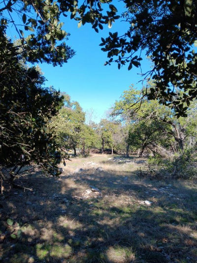 101 Timber Line Rd — photo 4