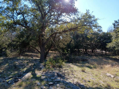101 Timber Line Rd — photo 5