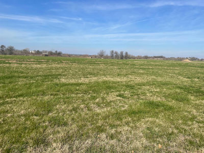 TBD Lot 9 County Road 468 — photo 2