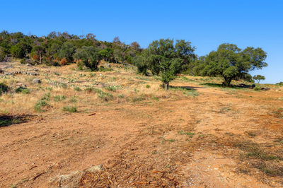0000 W Duchess Dell Lot 5B — photo 4