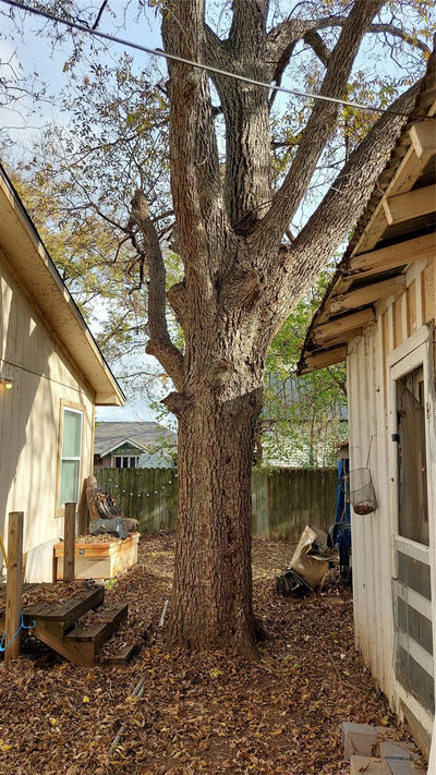 2817 Prado St — photo 3