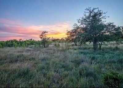 Lot 185 Three Creeks Dr — photo 5