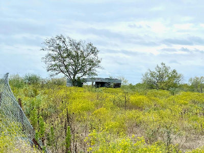 11604 Moore Rd — photo 3
