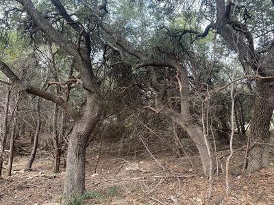 3819 Capitol Ave — photo 2