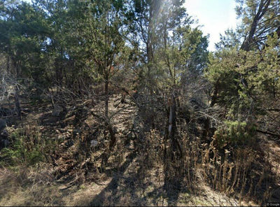 20203 Collier Ln — photo 2