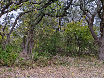 700 Shin Oak Ln — photo 5
