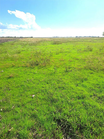 TBD CR 414 Rd — photo 4