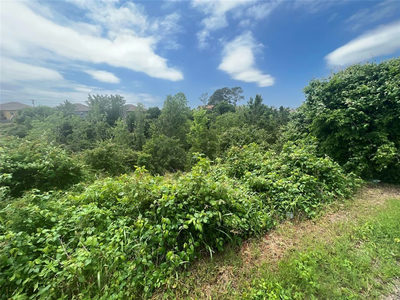 TBDD Pahala Ct — photo 3