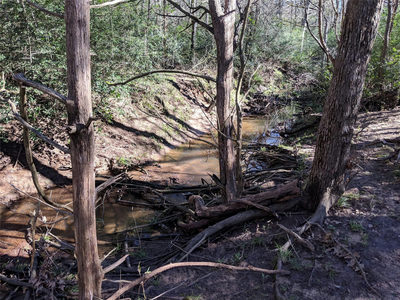 272 Deadwood Rd — photo 5