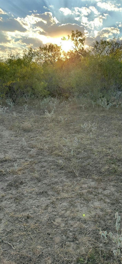000 Carter Rd — photo 3