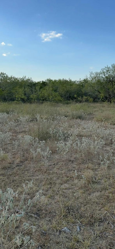000 Carter Rd — photo 4