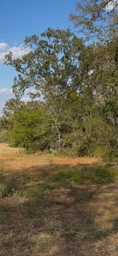 000 Carter Rd — photo 2