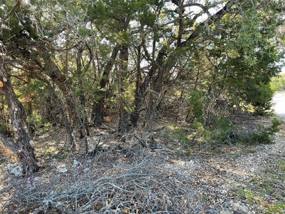21105 Santa Carlo Ave — photo 3