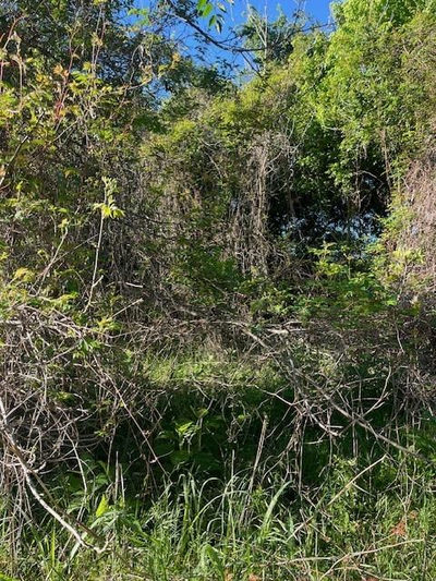 171 Kahana Ln — photo 4