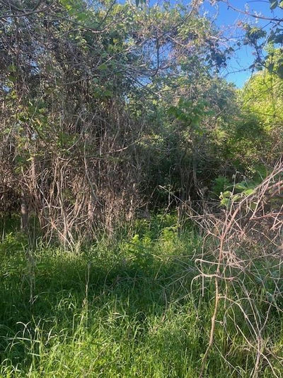 167 Kahana Ln — photo 2