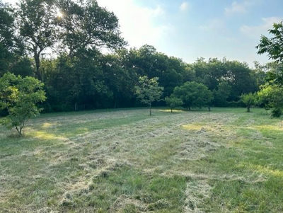 21604 Cold Spring Dr — photo 3