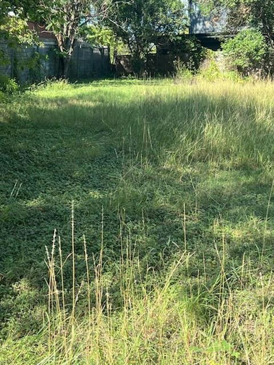 2102 Uphill Ln — photo 2