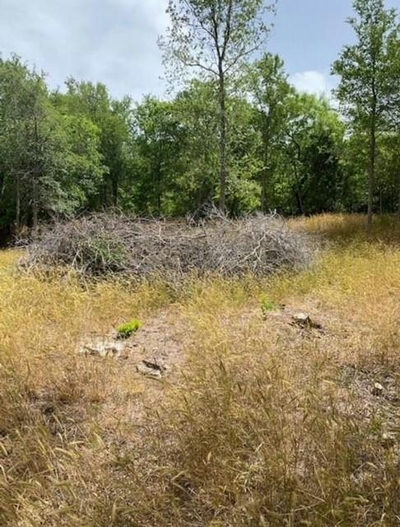 108 W Kikipua Ln — photo 3