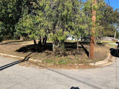 1600 Walnut Ave — photo 2