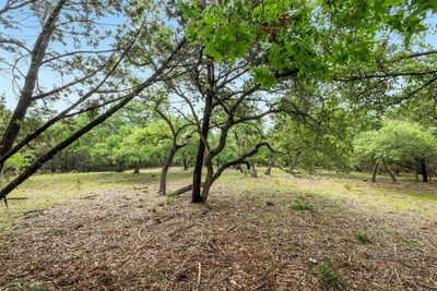 1005 Covered Bridge Dr — photo 4