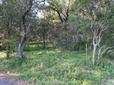 Lot 423 Indian Summer — photo 2