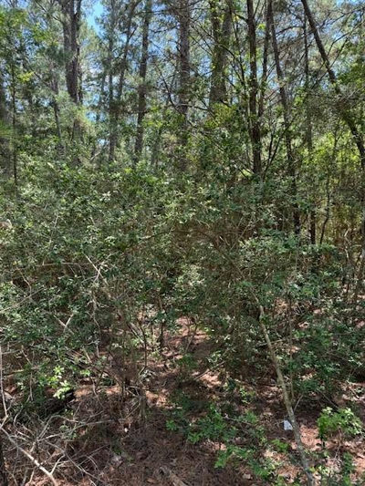Lot 250 Hekili Dr — photo 4