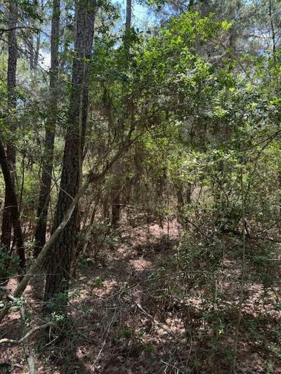 Lot 250 Hekili Dr — photo 3