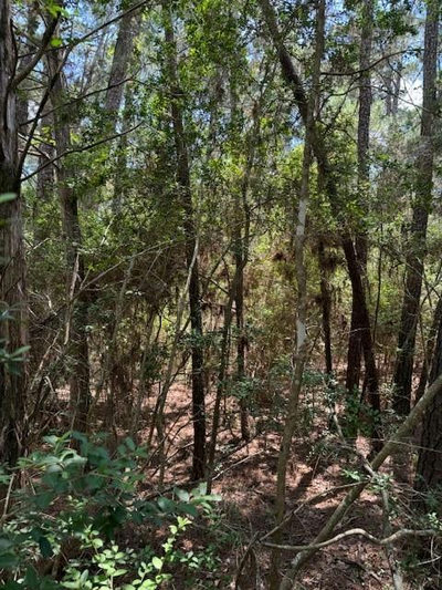 Lot 250 Hekili Dr — photo 2