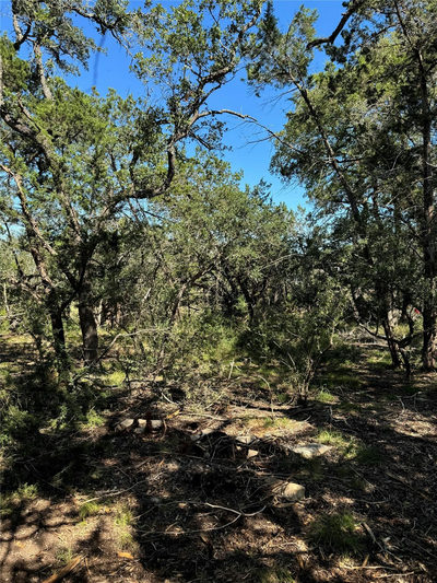 2869 Western Skies Dr — photo 4