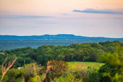 9738 E FM 1431 — photo 5