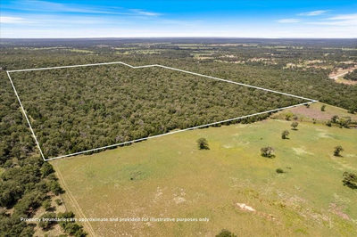 000 Hidden Oaks Ln — photo 4