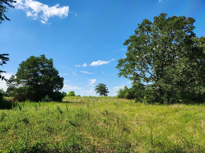 Lot-1 FM-2336 — photo 3