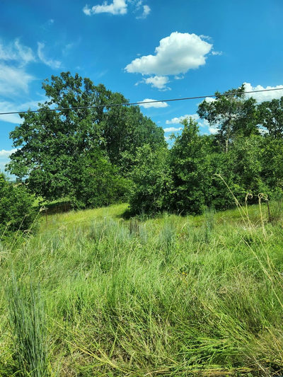 Lot-1 FM-2336 — photo 4