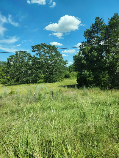 Lot-2 Fm 2336 — photo 4