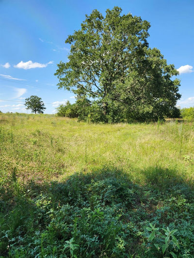 Lot-2 Fm 2336 — photo 3