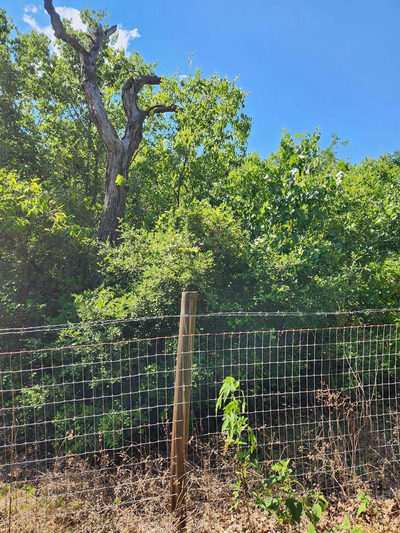 Lot-49 Flaming Oak Drive — photo 4