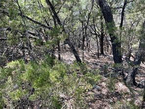 20610 Agarita Dr — photo 4