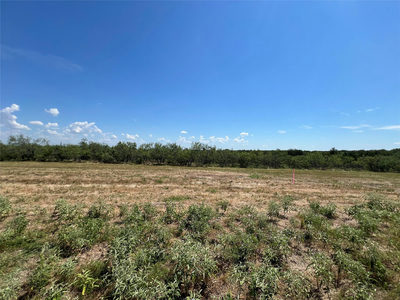 2614 CR 466 — photo 2