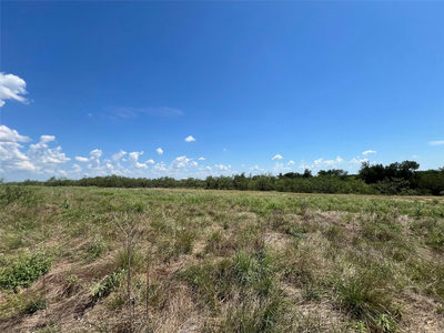 2614 CR 466 — photo 4