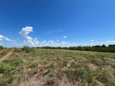 2614 CR 466 — photo 5