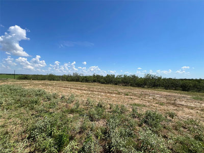 2630 CR 466 — photo 4