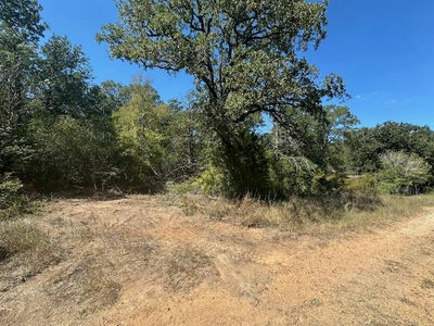 0 Tbd lot 102 and lot 100 Ripple Brook Dr — photo 2