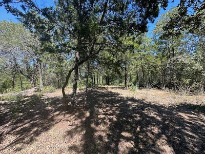 0 TBD lot 103 Ripple Brook Dr — photo 5