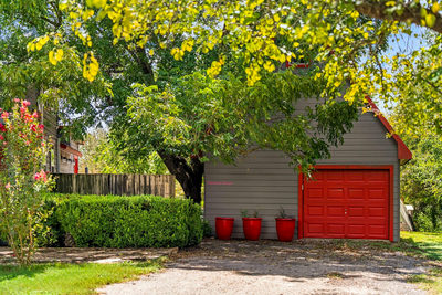 123 El Camino River Rd — photo 5