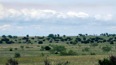 10 TBD FM 963 Ext — photo 4