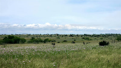 10 TBD FM 963 Ext — photo 5